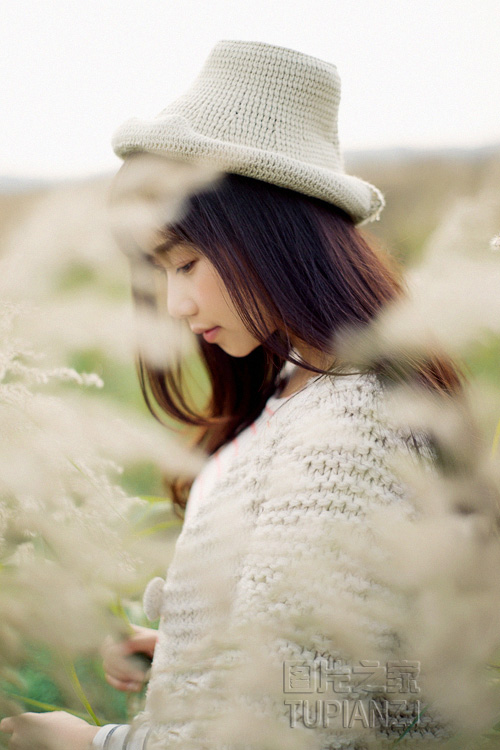 看了让人想做的文字|她放弃反抗开始迎合